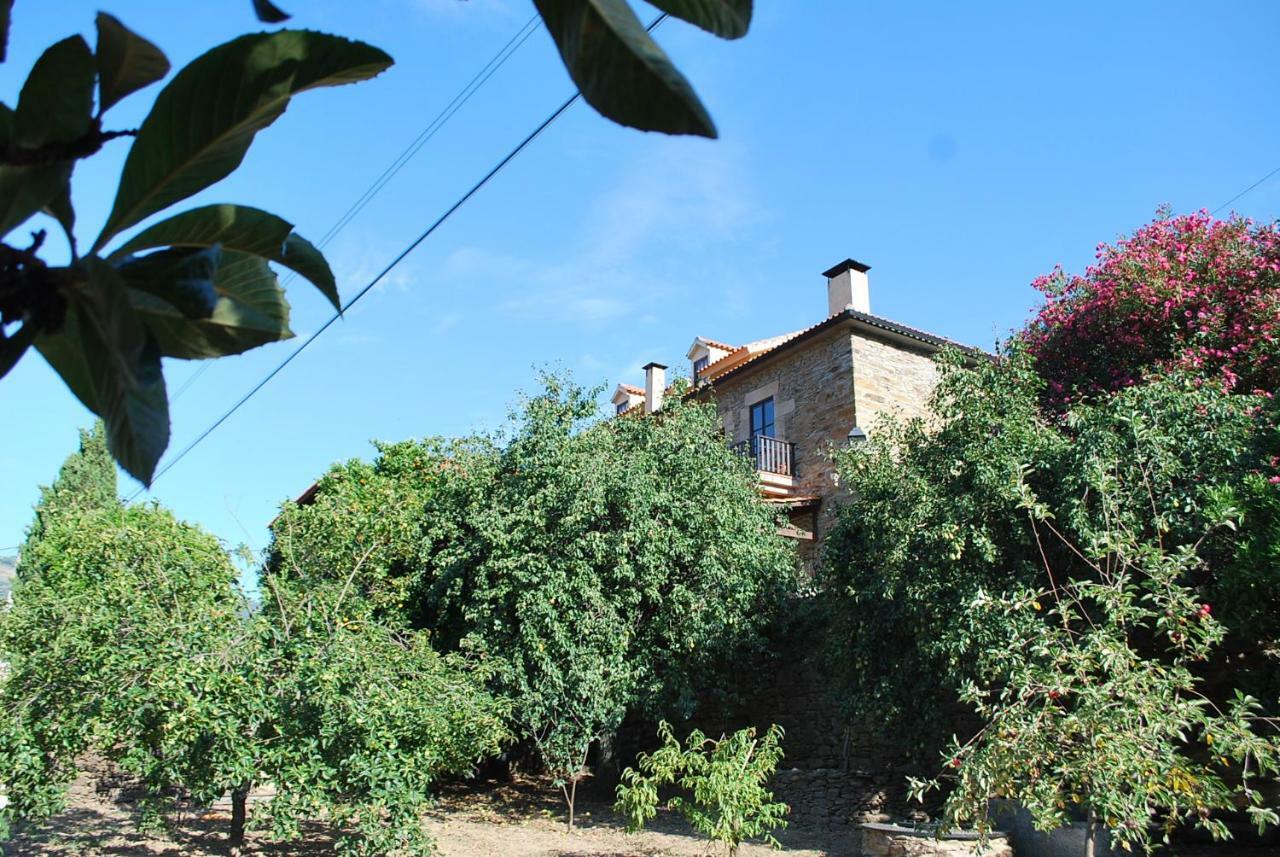 Vale de Mendiz Casa De Mendizヴィラ エクステリア 写真