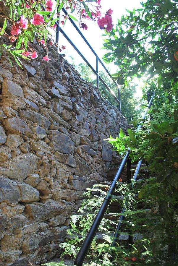 Vale de Mendiz Casa De Mendizヴィラ エクステリア 写真